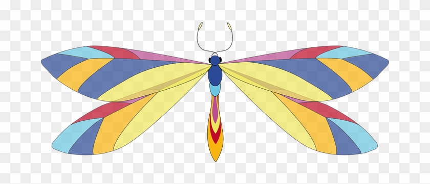 Animal Dragonfly Insect Butterfly Dragonfl - Dragonfly #3346