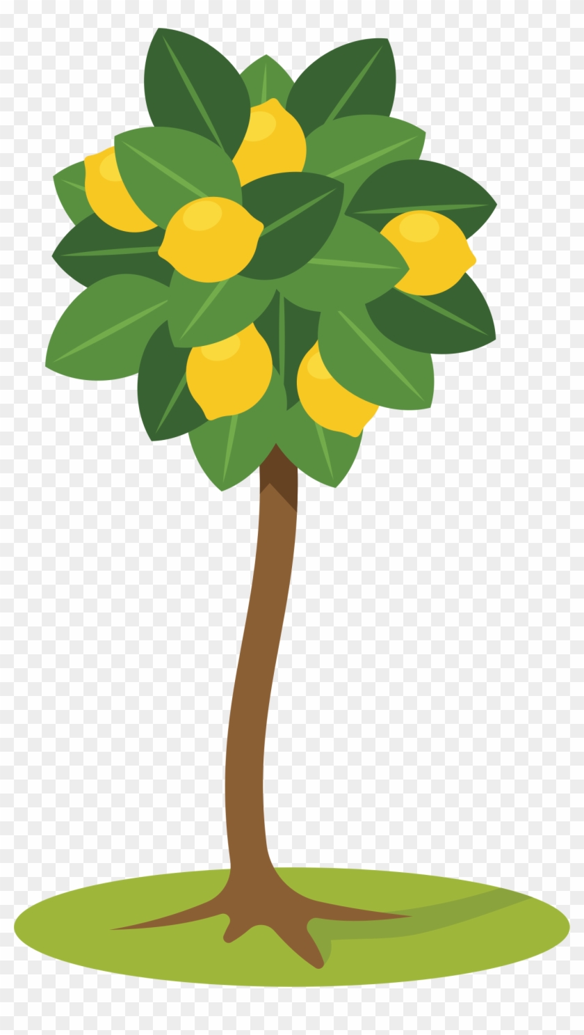 Lemon Tree Clipart - Lemon Tree Clipart #350