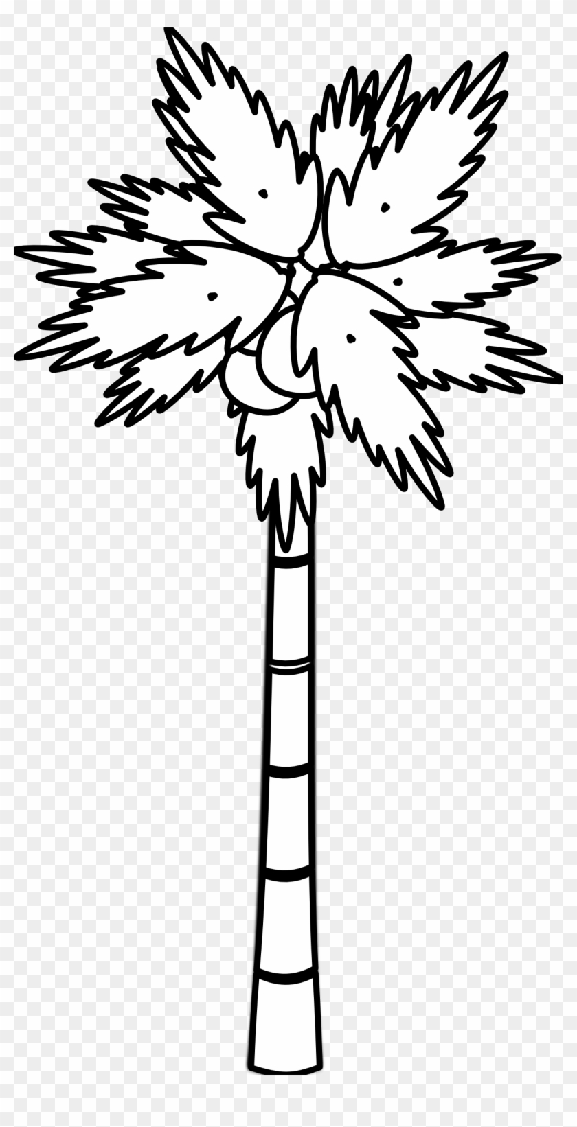 Palm Tree Clip Art Black And White - Palm Tree Clip Art Black And White #348