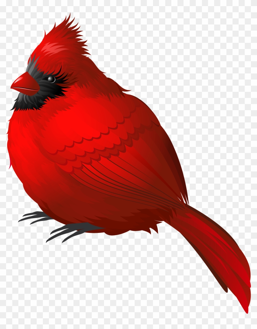 Red Winter Bird Png Clipart Image - Red Bird Png #3610