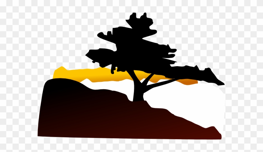 Bonsai Tree Clip Art #3639