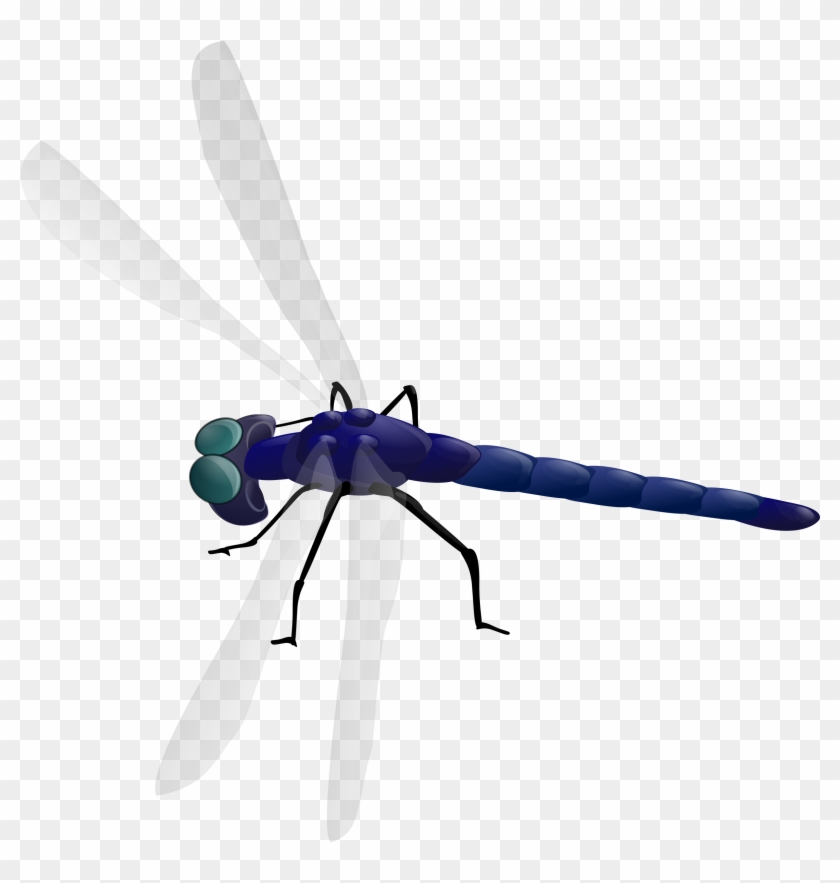 Dragonfly Clipart #3632