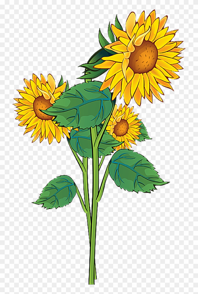 Grab This Free Summer Flower Clip Art - Sunflower Clipart #3637