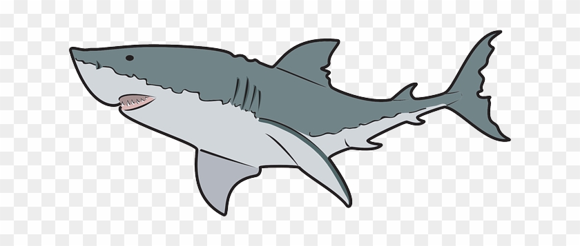 Shark Clip Art - Great White Shark Mugs #3669