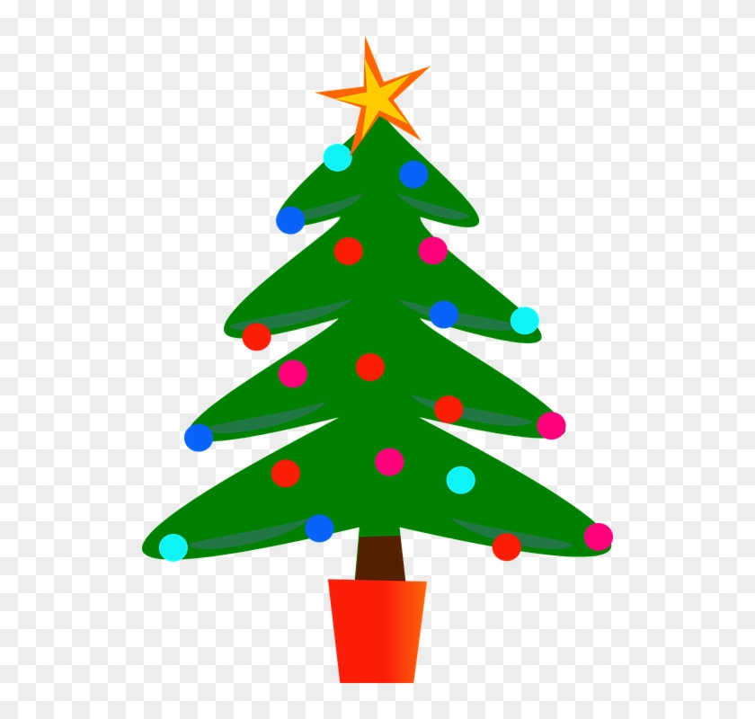 Christmas Tree Fir Tree X-mas Xmas Christmas - Christmas Tree Royalty Free #3764