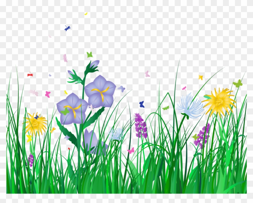 Flower Clipart With No Background - Flower Clipart With No Background #3856