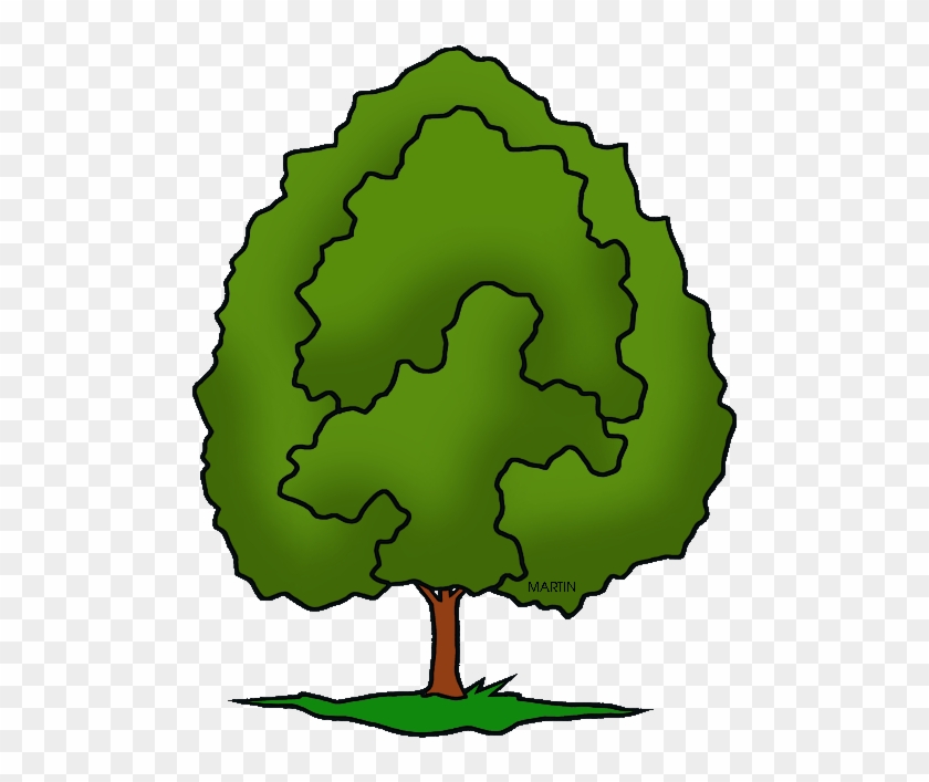 United States Clip Art Phillip Martin State Tree Of - Tree Clipart Phillip Martin #3997
