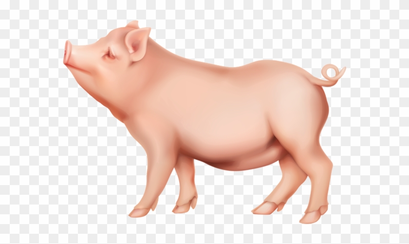 Pig Png Clip Art Image - Clipart Pig Png #4014