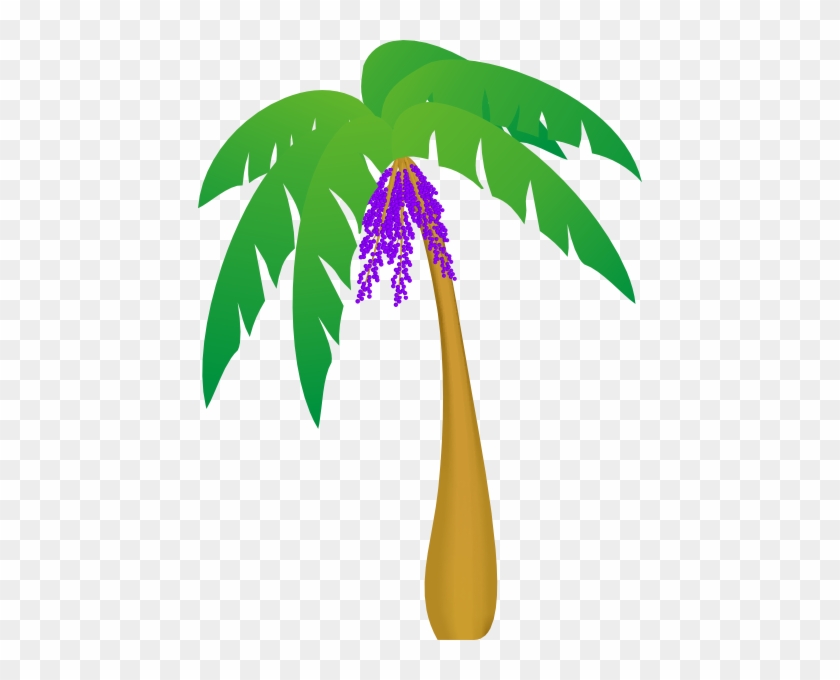 Free Palm Tree Clip Art Images #416