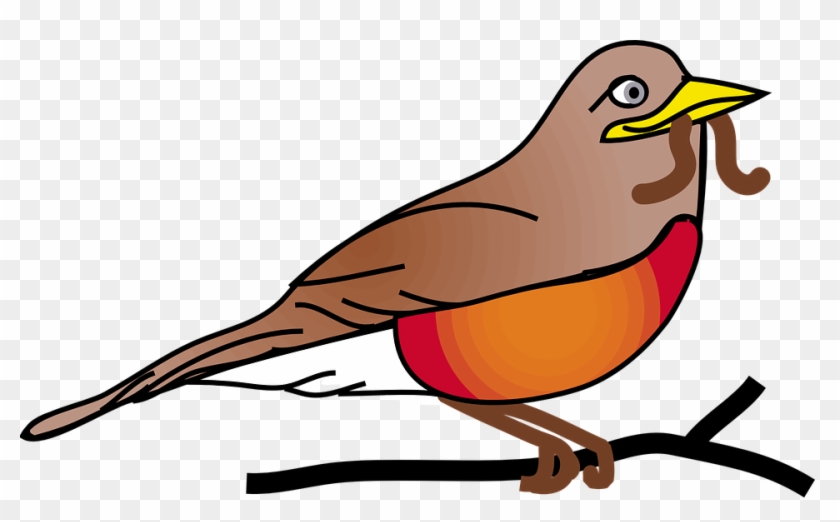 Red, Robin - - Free Clip Art Robin #4048