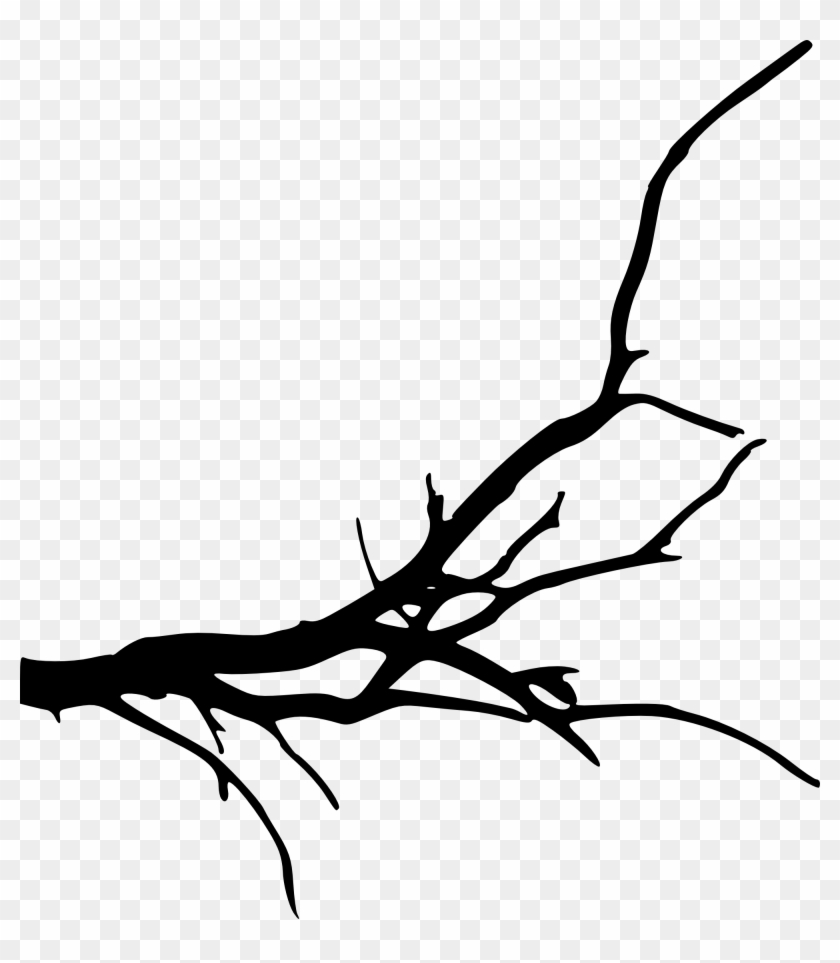 Branch Tree Silhouette Clip Art - Branch Tree Silhouette Clip Art #402
