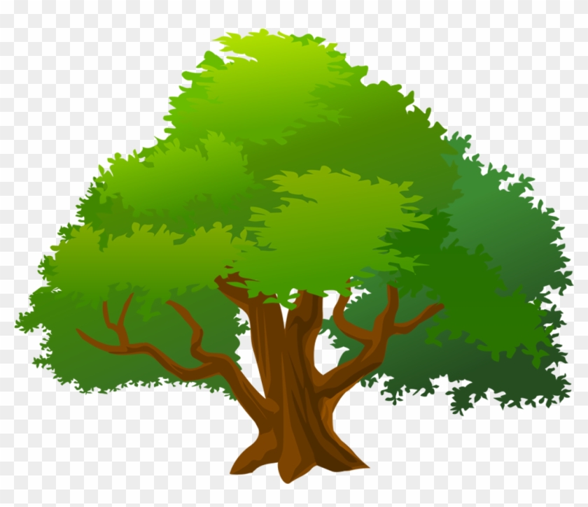 Mango Tree Clipart - Mango Tree Clipart #440