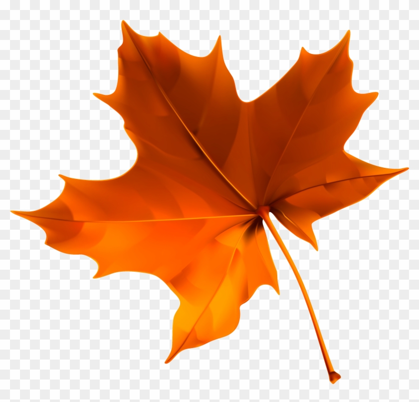 Leaf Autumn Clip Art - Leaf Autumn Clip Art #4165