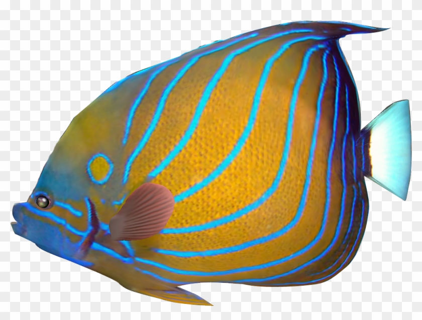 Tropical Fish Clipart Transparent Fish - Tropical Fish Png Transparent #4253