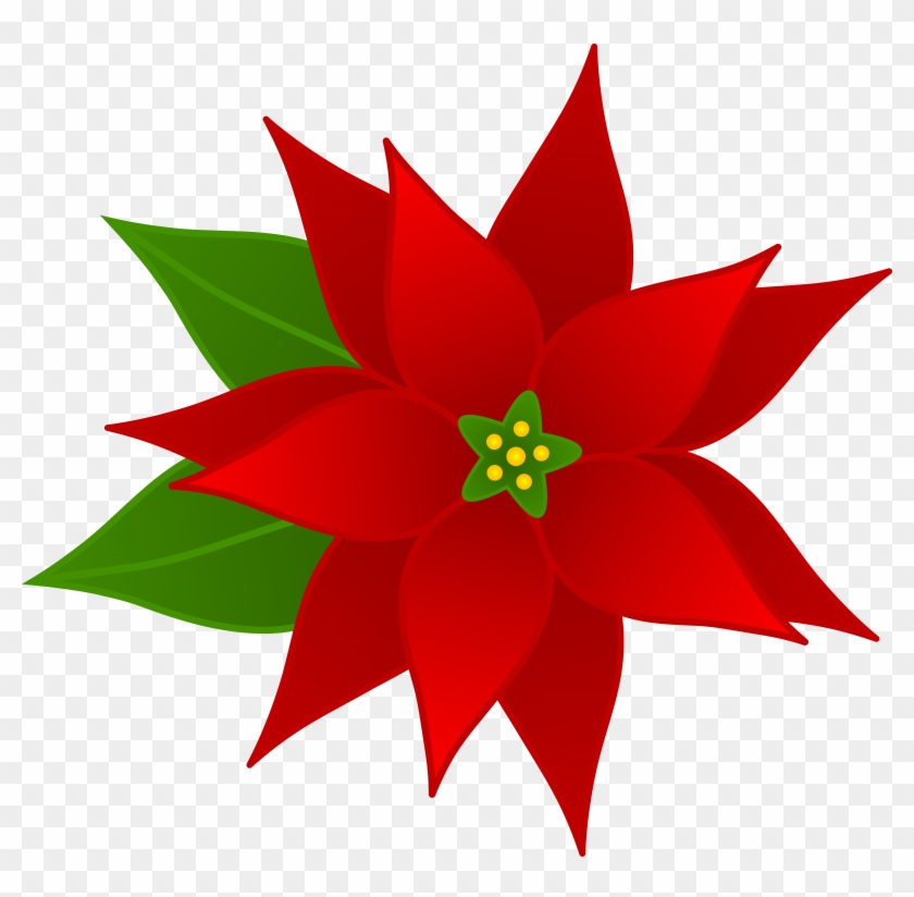 Christmas Clipart Free - Poinsettia Clipart #4264