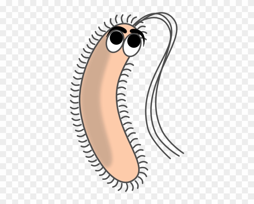Modified Funny Bacteria Clip Art At Vector Clip Art - Bacteria Cartoon #4327