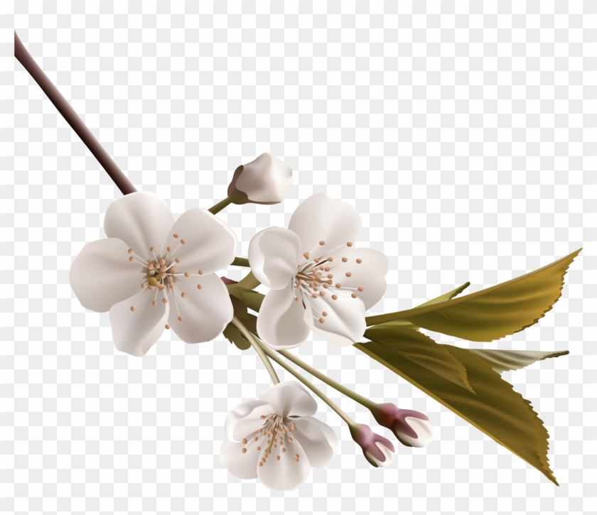 White Flower Clip Art - White Flower Clip Art #527