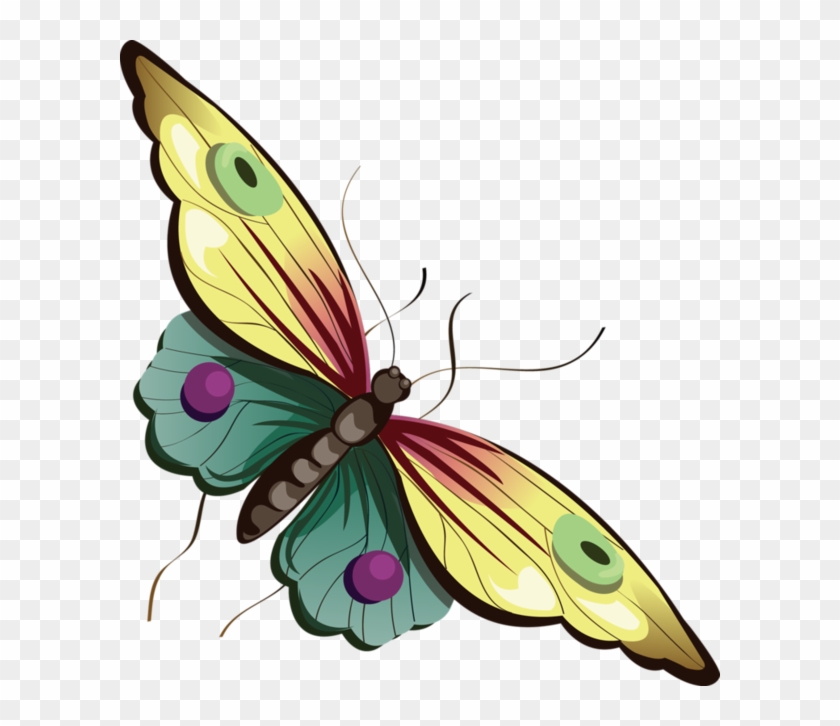 Butterfly - Clipart Best - Butterfly Png Transparent Cartoon #4447