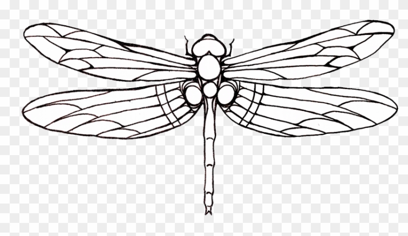 Tattoo Dragonfly Drawing Clip Art - Dragonfly Tattoo Outline #4560