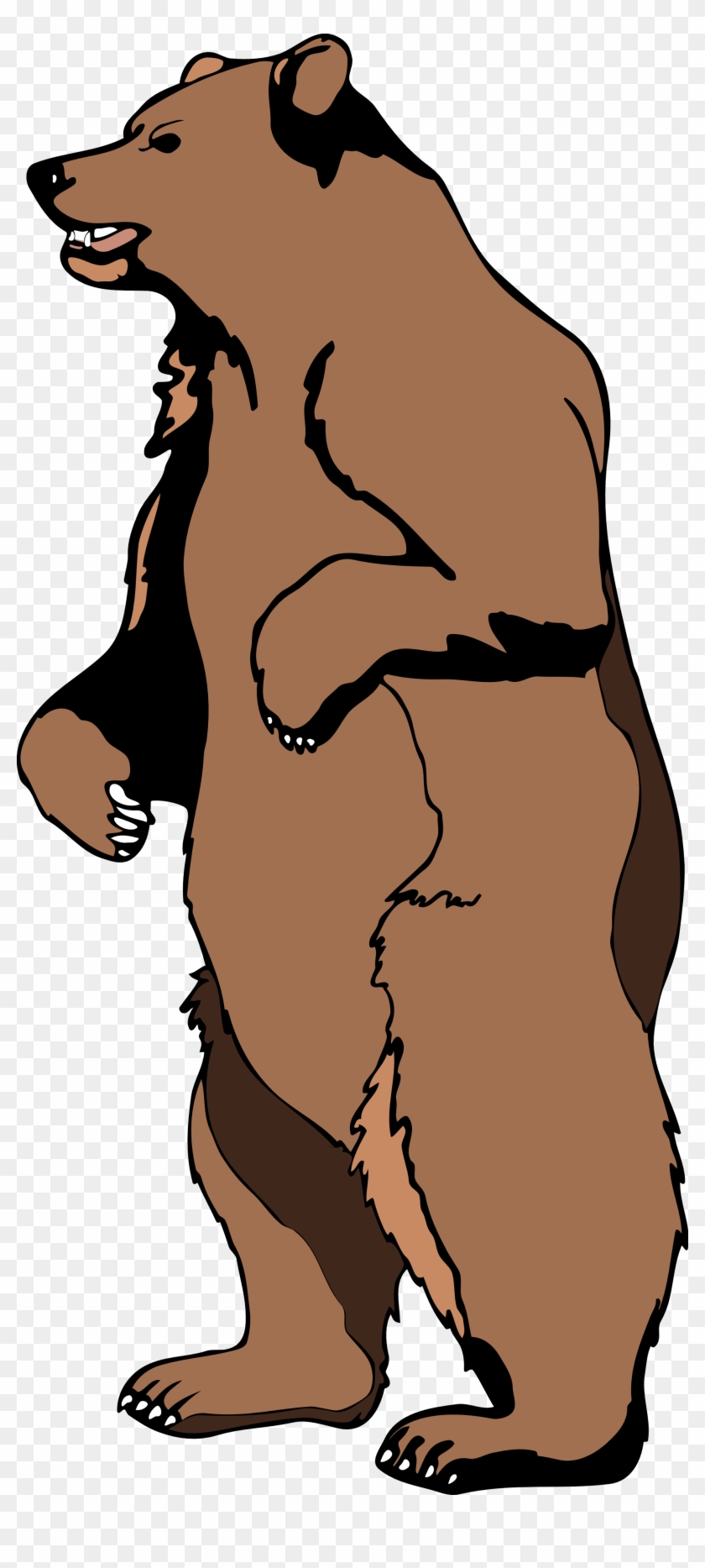 Clipart Info - Grizzly Bear Standing Clipart #4625