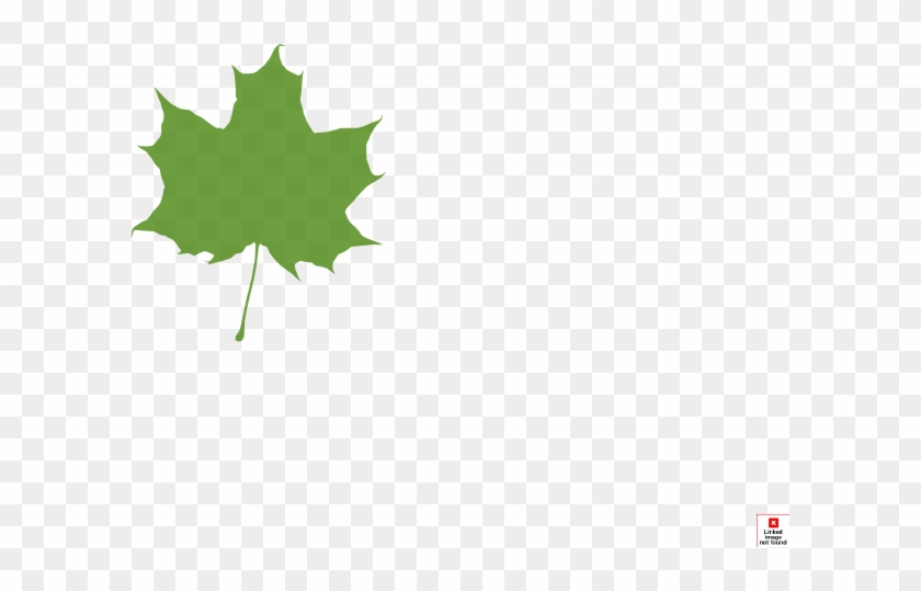 Green Maple Leaf Clip Art At Clker - Leaves Silhouette #4727