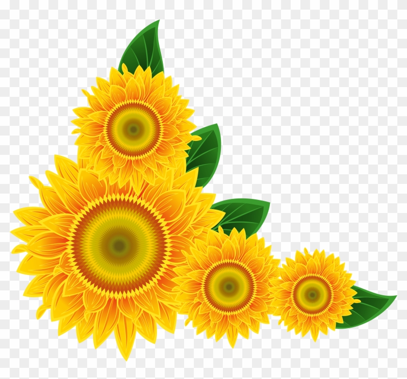 Sunflower Clip Art Images Xbox - Sunflower Corner Png #4794