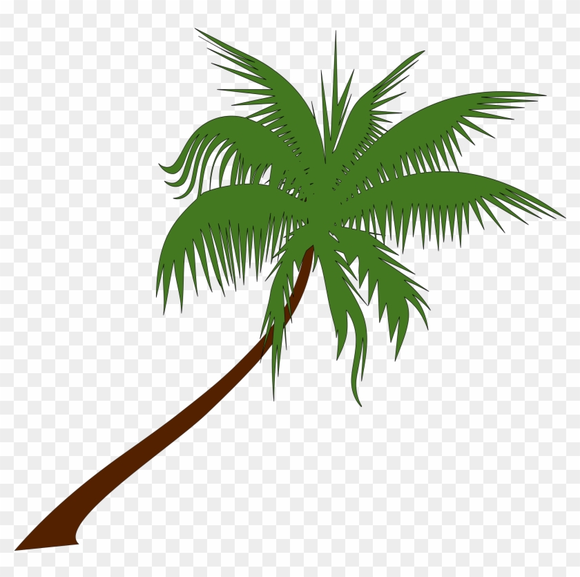 Palm - Tree - Clip - Art - Png - Palm - Tree - Clip - Art - Png #473