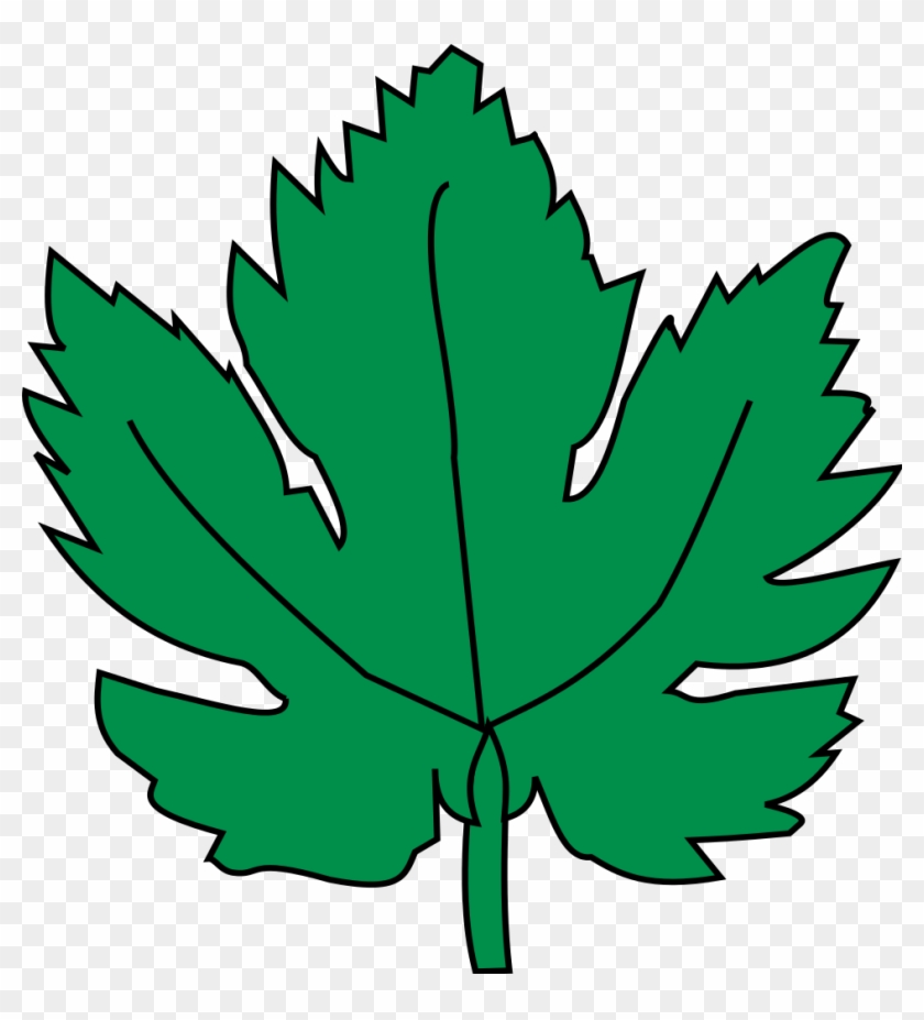 Leaf Clip Art Free Pictures - Imagen De Hoja De Parra #4895