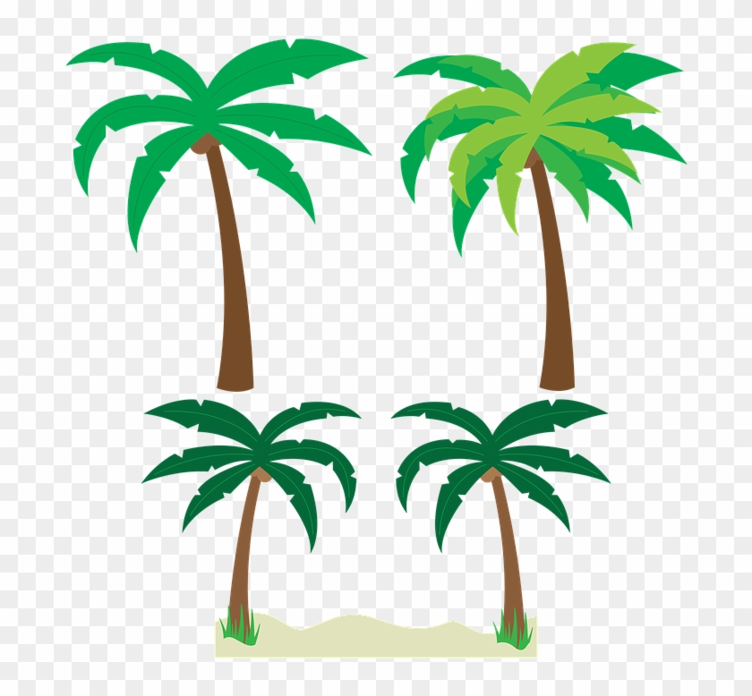 Palm Trees Trees Palm Tree Vector Tropical Beach - Palm Trees Trees Palm Tree Vector Tropical Beach #496