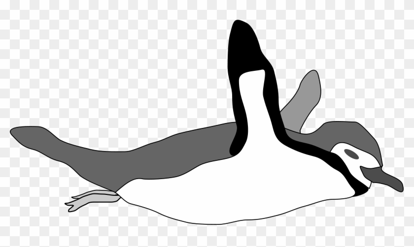 Draw A Emperor Penguin Swimming #4926