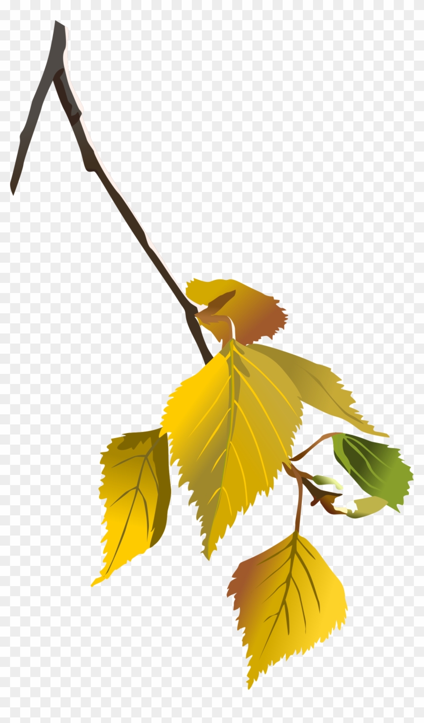 Big Image - Autumn Leaves Tree Branch Png #5042