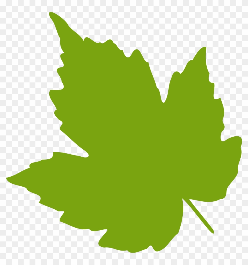 Leaf - Clipart - Grape Leaf Clip Art #5124