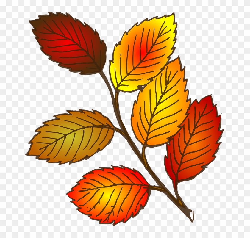 Leaves Clip Art #5276