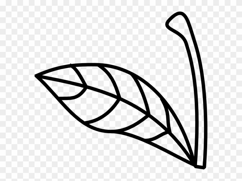 Apple Stem Leaf Clip Art - Stem Clip Art Black And White #5313