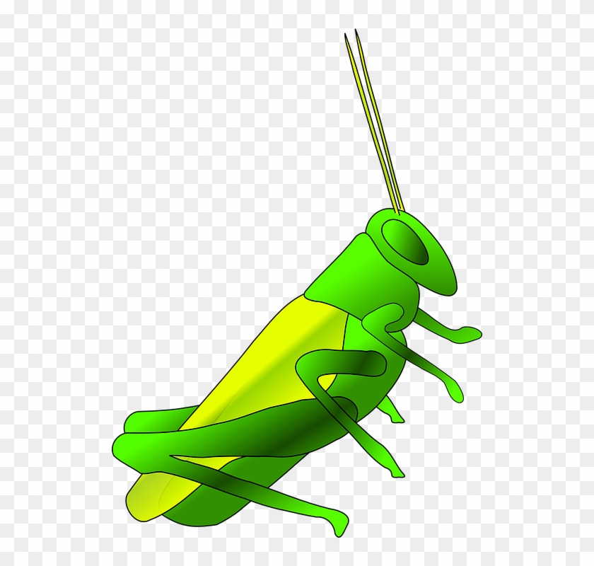 Cricket Clip Art - Crickets Clipart #5382