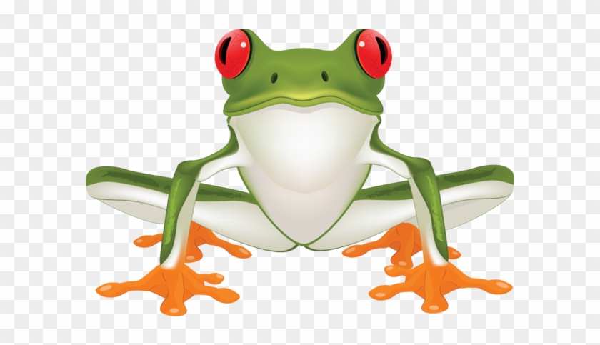 Jungle Frog Cliparts Free Download Clip Art Free Clip - Clip Art Tree Frog #5390