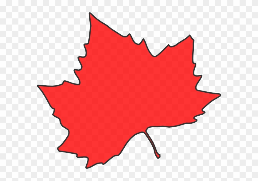 Maple Leaf Clipart - Autumn Leaves Clip Art #5433