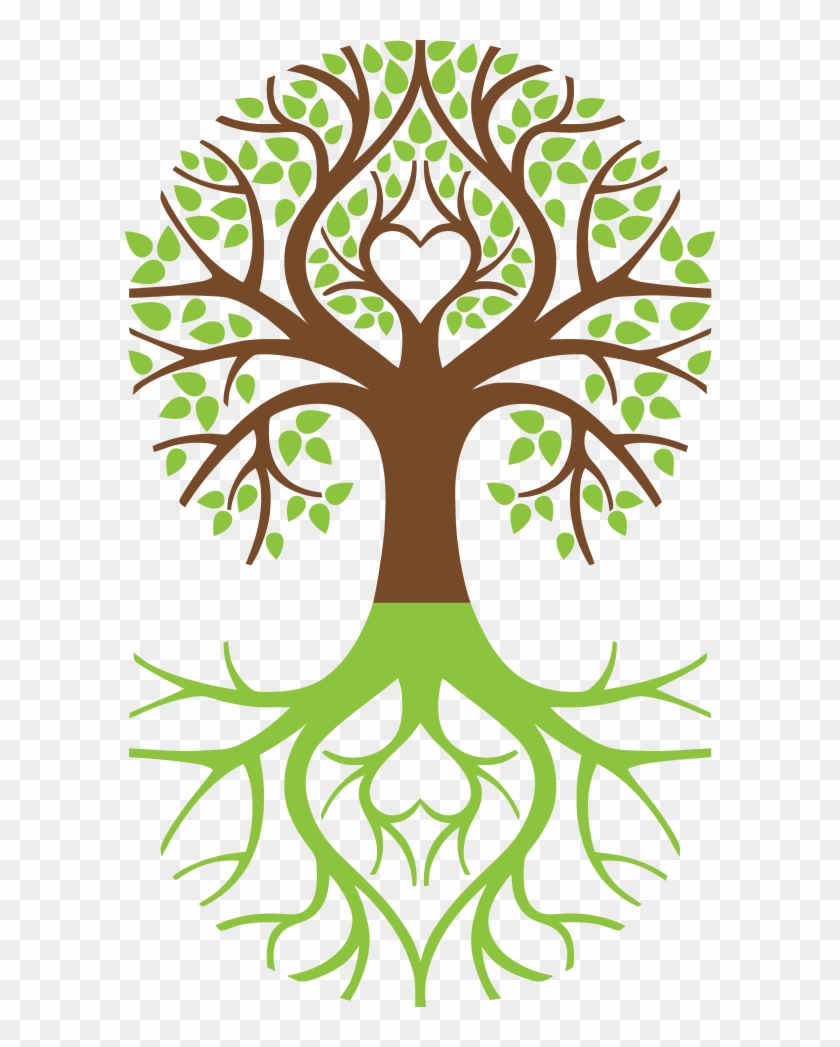 Tree Of Life Symbol Weeping Willow Arborvitae - Tree Of Life Symbol Weeping Willow Arborvitae #578