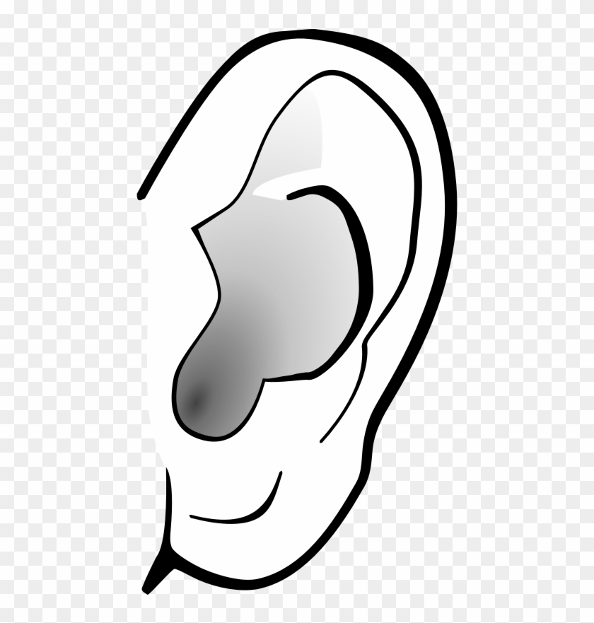 Ears Clip Art - Ear Clip Art Png #5554