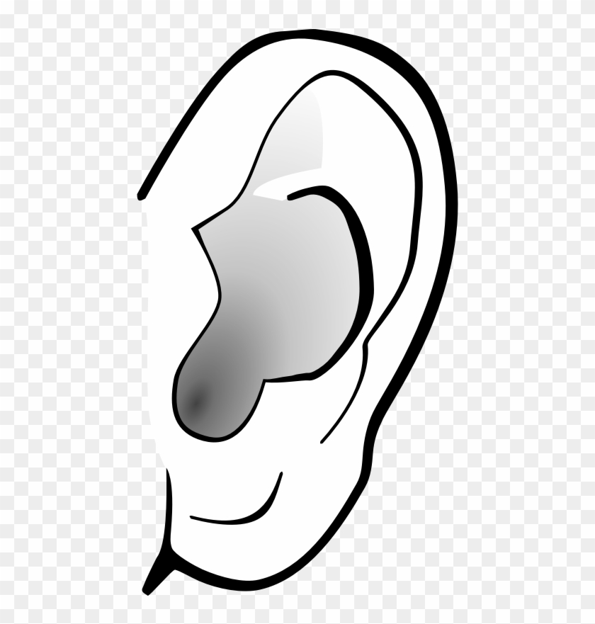 Ears Clip Art Ear Clip Art Png Full Size PNG Clipart Images Download