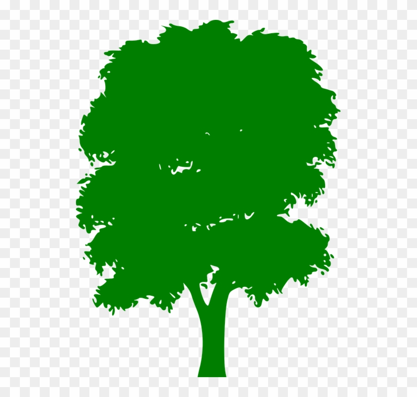 Tree Green Plain Nature Wood Outside Silhouette - Tree Green Plain Nature Wood Outside Silhouette #603