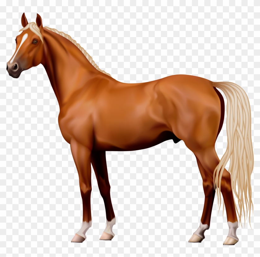 Brown Horse Png Clipart - Horse Png #5758