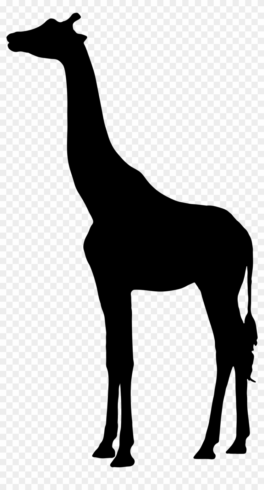 Fresh Idea Giraffe Silhouette Clipart 3 Big Image Png - Silhouette Of A Giraffe #5815