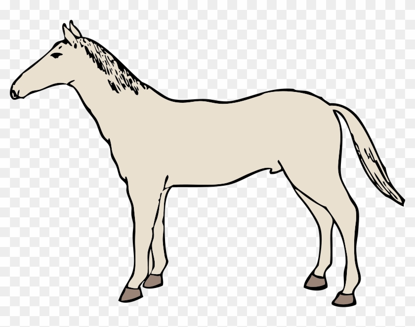 Clipart Info - White Horse Clipart Transparent #5842