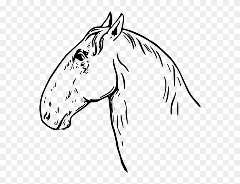 Horse Head Clip Art Free Clipart To Use Resource - Clipart Free Horse Black And Wite #5885