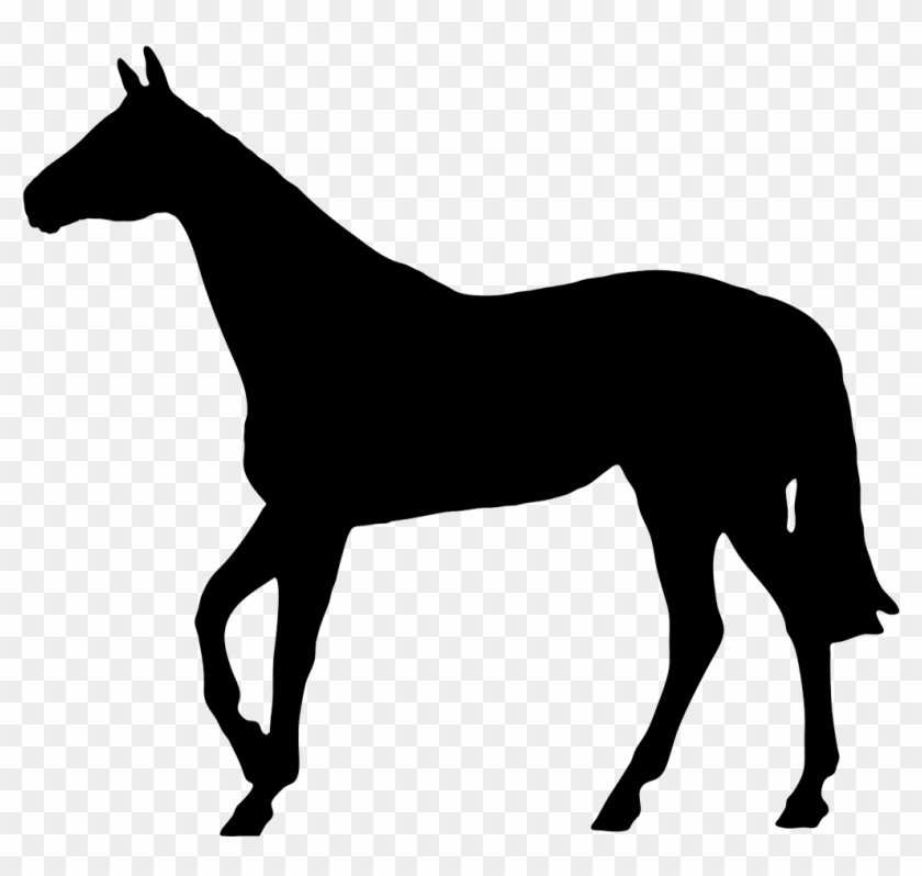 Horse Black Silhouette - Horse Silhouette No Background #5947