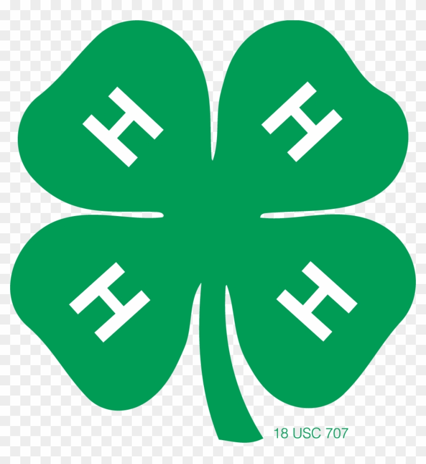 4 H Clover Printable Printable Word Searches