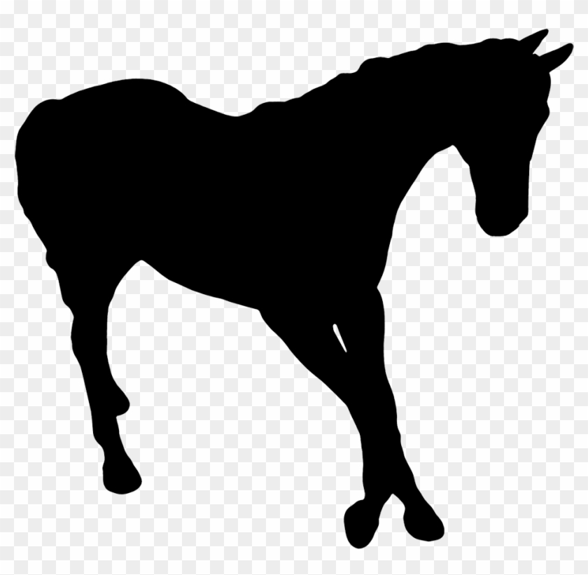 Black Silhouette Horse, Silhouette Of Horse - Gambar Animasi Kuda Berjalan #6052