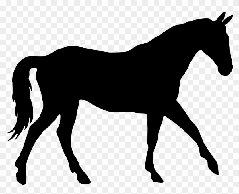 Horse Silhouette Clip Art Many Interesting Cliparts - Silhouette Of A Horse #6106