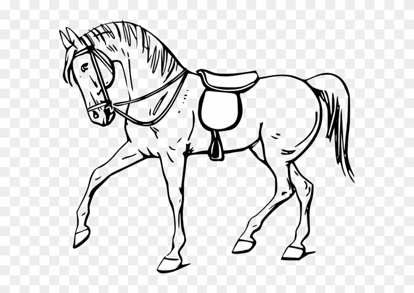 Walking Horse Outline Clip Art - Outline Picture Of Horse #6124